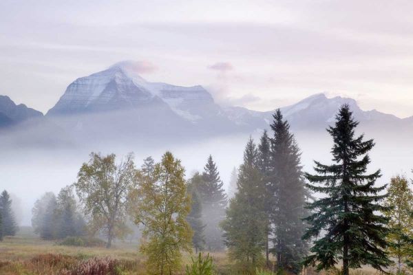 Canada, BC, Mount Robson PP Foggy sunrise